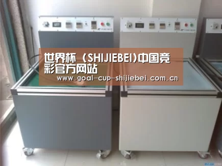 世界杯下注案例展示二