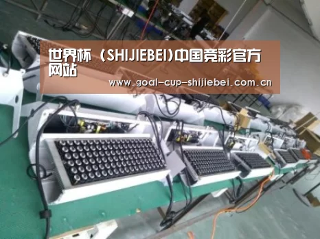 世界杯下注案例展示一