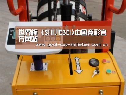 世界杯下注案例展示三