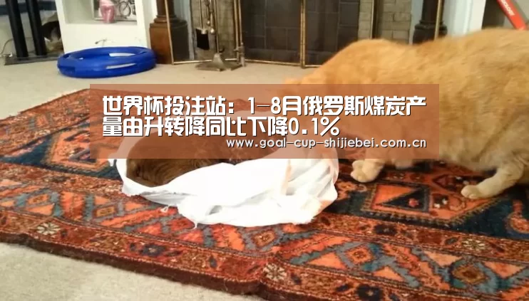 世界杯投注站